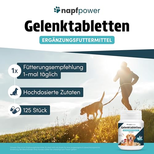 Napfpower Gelenktabletten Hund (125 STK.) mit Grünlippmuschel - Leckerli mit MSM, Teufelskralle, Glucosamin, Hyaluron & Kurkuma Unterstützt die Gelenke & Knochen