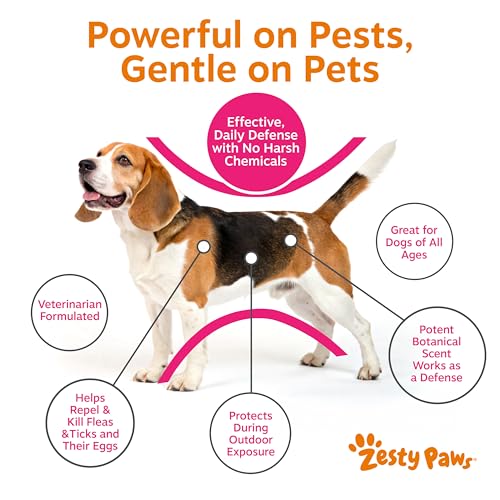 Image of Zesty Paws Flea and Tick Spray for Dogs - Kill Fleas, Ticks & Their Eggs - Veterinarian Formulated - Soothes Itchy & Irritated Dog Skin - Cedarwood Oil, Rosemary Oil & Peppermint Oil