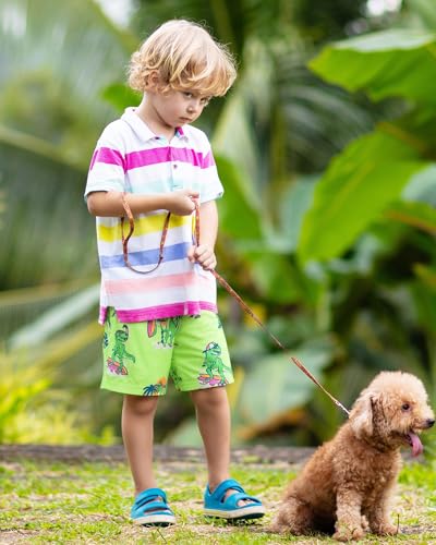 Image of SURF CUZ Boys Swim Trunks Toddler Swim Shorts UPF 50+ Bathing Suit for Boy Swimsuit Quick Dry Mesh Beach Boardshorts Swimwear
