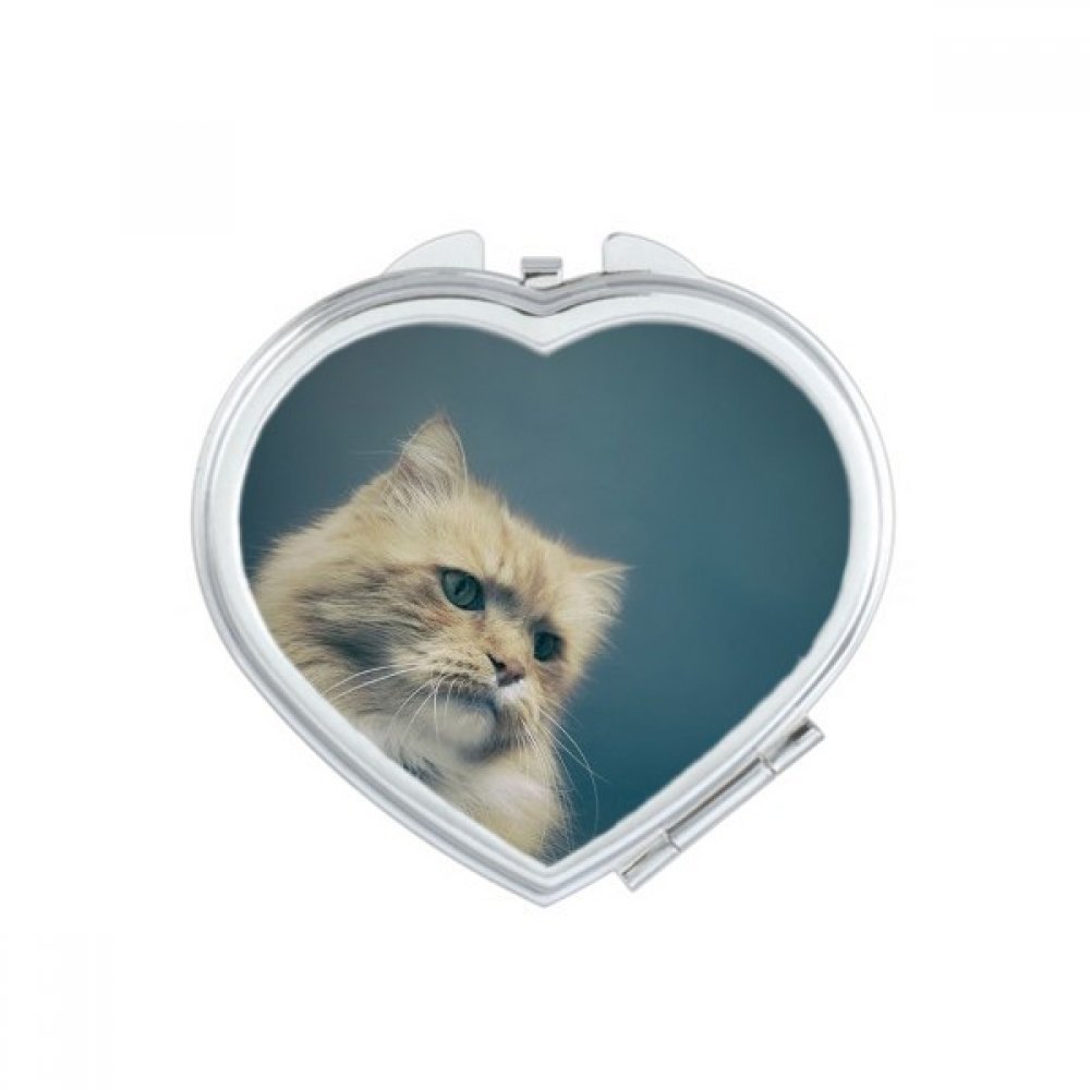 Miroir compact portable chat aux grands yeux gris accessoire de maquillage de poche