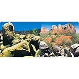 Reptiles Planet Poster Desert Terrarium, 2 Seiten, 1 Rolle mit 15 m, Höhe 60 cm