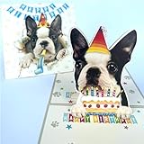 Momapopup 3D Pop-Up Boston Terrier Dog Birthday Card - Cute Dog with Cake Celebration, Whimsical Happy Birthday Greeting for Dog Lovers - Boston Terrier Dog 3D Birthday Pop Up Card