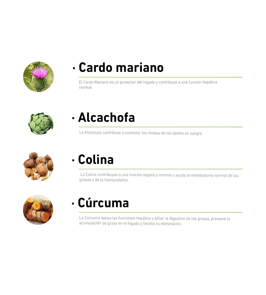 AlchemLife - Liverubin Forte | Apoyo a la Función Hepática y Biliar| 30 Cápsulas | Prevención de la Acumulación de Grasa en el Hígado | con Cardo Mariano, Colina, Alcachofa y Cúrcuma | Sin Gluten