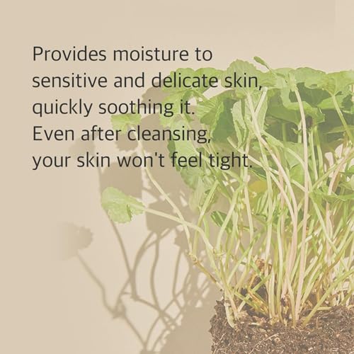 mixsoon Centella Cleansing Foam Face Wash with Cica, Low pH Cleansing and Soothing for Face, Hydrating Formula 150ml / 5.07 fl. oz. Korean Glass Skin Care - Image 5