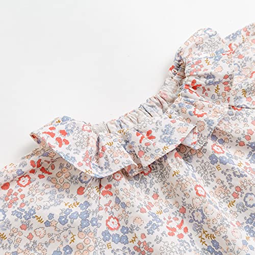 Image of Curipeer Toddler Girls Long Sleeve Shirt, Smocked Blouse, 6M-6Years | Floral Tops, Soft Lightweight Cotton, Spring and Fall Casual Wear, Little and Baby Girl