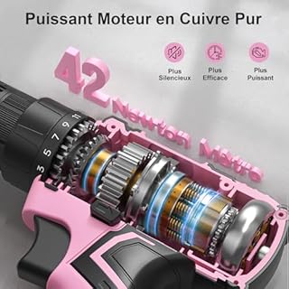 VIWKO Visseuse Devisseuse Sans Fil 20V, Perceuse Visseuse Sans Fil avec 85 Accessoires, Perceuse-visseuse 42 N.m Max, Batterie 2000 mAh, 25+1 Couple, Mandrin 10 mm, Eclairage LED, Saint-Valentin