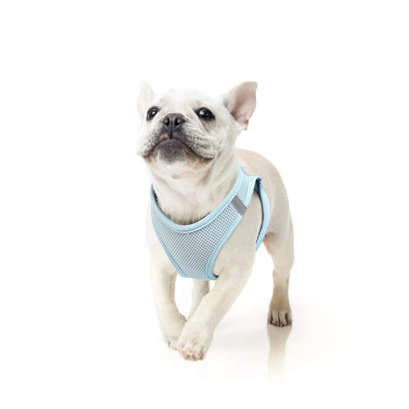 HEELE Arnés Chaleco Perro Pequeño Ajustable Suave Acolchado Cómodo para Viajar Pasear con Mascota Pequeña Cachorro Chihuahua, Verde Ejército, XS — view 21
