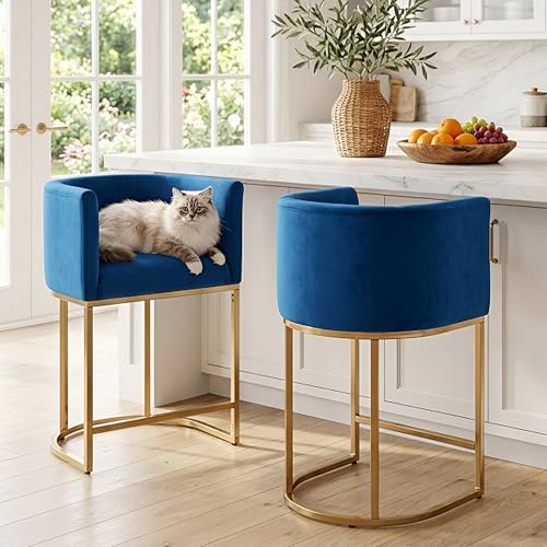 Image of HNY Modern Counter Height Velvet Fabric Upholstered Counter Stools Set of 2, 24 Inch Kitchen Island Stool with Gold Finish Metal Frame, Navy Blue