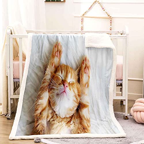 Couverture microfibre chat jaune contre le froid : profitez d'une douceur 3D