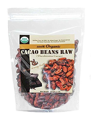 Indus Organics Raw Cacao Beans