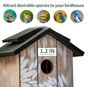 Topadornwoodenbirdhousehangingoutdoorecofriendlymaterialsanddecorativewithleavesprinted Urban Country Home Decor Topadorn wooden bird house hanging outdooreco friendly materials and decorative with leaves printed urban country home decor