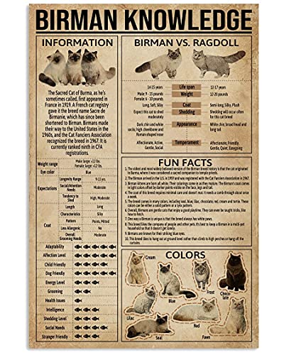 Plaque métallique « Savoirs du Birman », affiche rétro, informations sur le Birman, tableaux éducatifs scientifiques populaires, plaques murales décoratives pour la maison, la salle de classe, le bur
