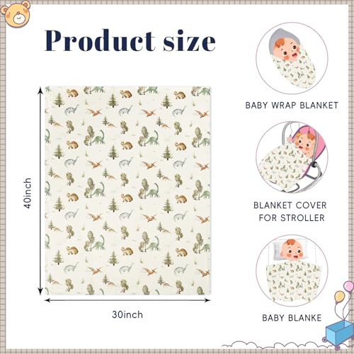 Image of PHF Minky Baby Blanket for Boys Girls, 30x40 Inches Soft Double Layer Baby Blankets with Cute Dinosaurs, Receiving Blanket Bed Throws for Newborn, Infant, Babies