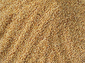 See full amazon price history chart for TAIYO PLUSS DISCOVERY Big Size Yellow Millets Bird Food - 2.5kg (for Finch Budgerigars Lovebirds Cockatiels) TAIYO PLUSS DISCOVERY Big Size Yellow Millets Bird Food - 2.5kg (for Finch Budgerigars Lovebirds Cockatiels) (B083982L3G) Amazon Price History, Amazon Price Tracker