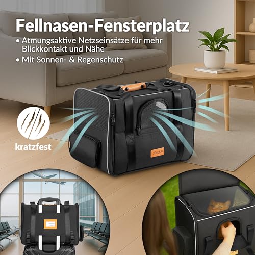 CADOCA® Katzentransportbox Faltbar