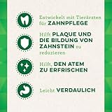 Greenies Dental Treats Original Petite – Zahnpflegesnacks für kleine Hunde von 8-11 kg – Hundeleckerli zur täglichen Zahnreinigung – 1 x 340 g