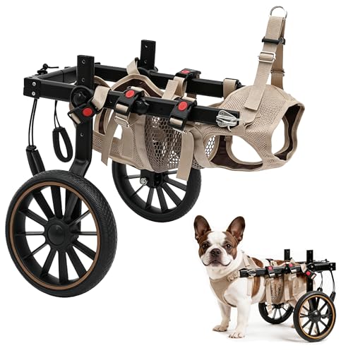 Ojdn hvy 2-Wheel Dog Wheelchair