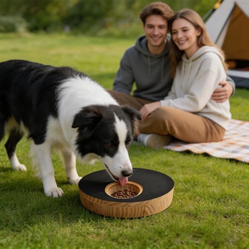 Entretien des griffes canines à la maison avec la planche de grattage en bois interactive