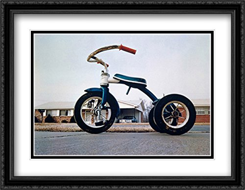 新品★輸入ポスター★ウィリアム・エグルストン★お洒落インテリア2 新品☆輸入ポスター☆ウィリアム・エグルストン☆お洒落