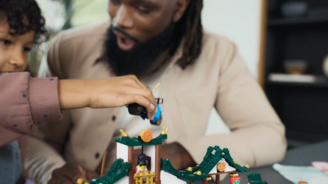 LEGO 71787 NINJAGO Kreative Ninja Steinebox, Spielzeug