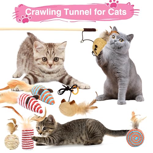 36-teiliges Premium-Kätzchen-Starter-Set für Indoor-Katzen – komplettes Katzen-Essentials-Set mit Edelstahl-Katzentoilette, Tragetasche, Bett, Spielzeug, Matte und Zubehör