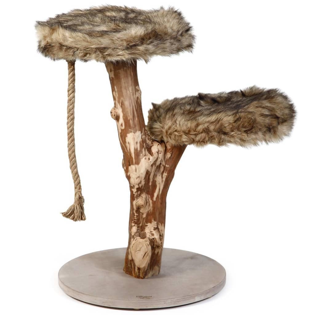 Designed by Lotte Kratzbaum Holz L: 50 cm B: 50 cm H: 68 cm Aviva :  Amazon.de: Haustier