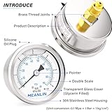 Zoom IMG-2 meanlin measure 0 6bar 90psi Zoom IMG-2 meanlin measure 0 6bar 90psi