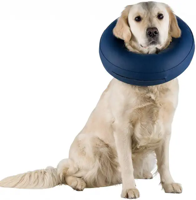 Trixie Inflatable Protective Collar for Dogs - Hund Krage Apoteket