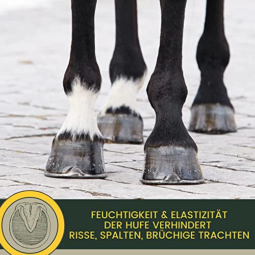 Foto von EMMA Huföl mit Hufpinsel + Strahlpflege + Hufbalsam - Huffett Pferde I Hufpflege Hufe & Strahl I Mittel Strahlfäule Pferd gegen trockene Hufe Huffestiger I Hufsalbe Pferde I Huf Öl 500ml 0,48L 100ml
