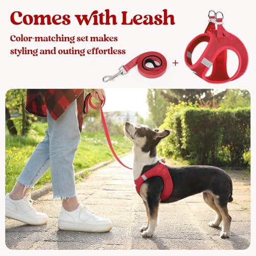 Image of rabbitgoo Dog Harness Medium Sized and Leash Set, Step-in Puppy Pet Vest