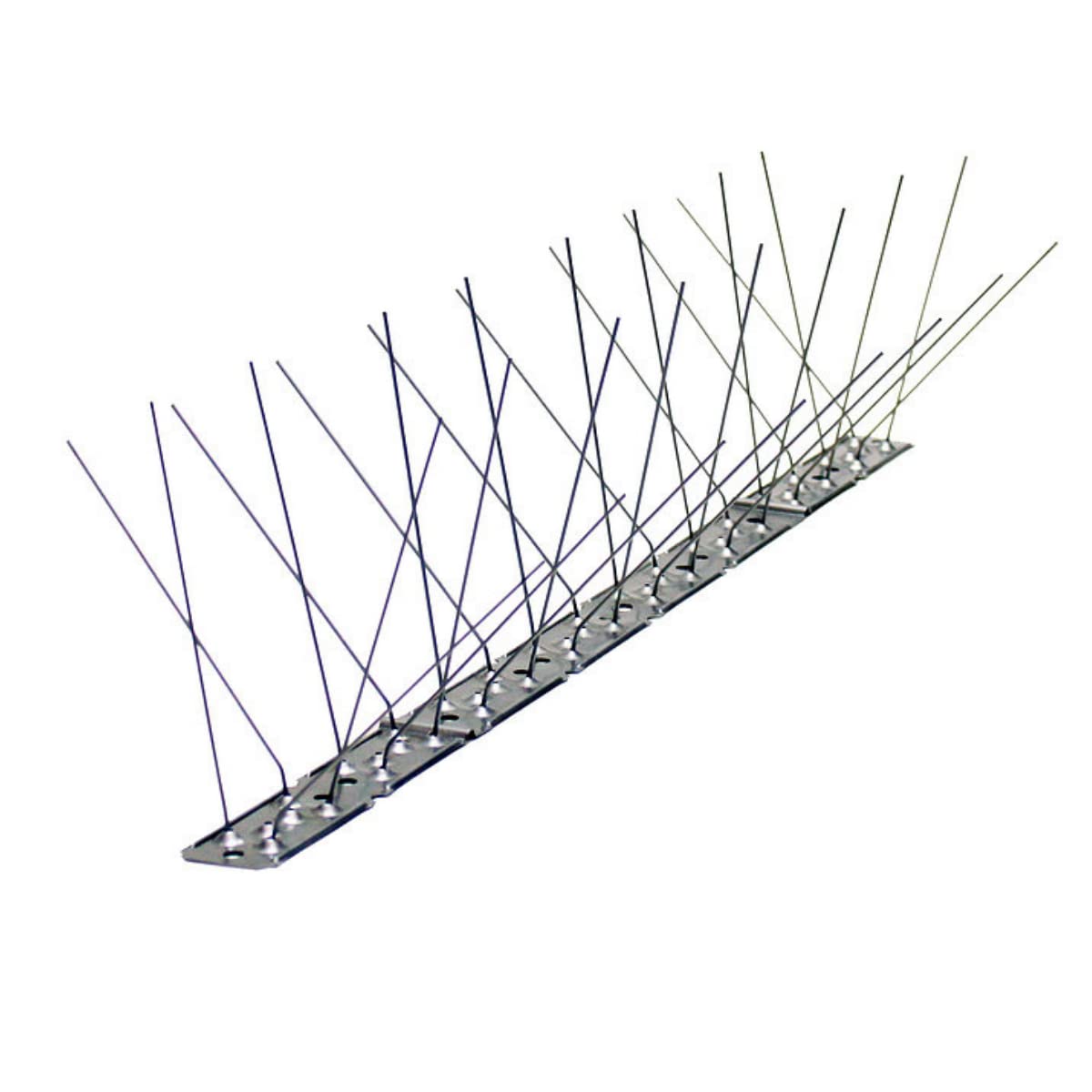 Pinchos Anti Palomas con Base de Acero Inoxidable | Ahuyenta Palomas Efectivo (10 Metros)