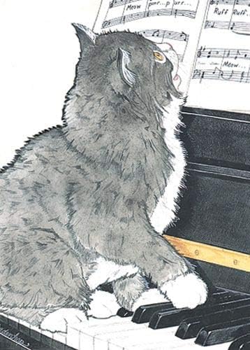 Cat Black and White Blank Note Cards Boxed