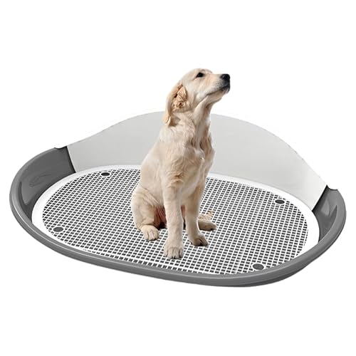 RinoctpgC eʔAUh~ ܂肽ݎ S PP f ^ VUxt g[jOpgC (O[)