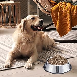 8 Pack Stainless Steel Dog Bowl Metal Dog Bowls with Rubber Base Non-Slip Pet Bowls Cat Feeding Bowls Pet Food and Water Bowls for Indoor Small Medium Large Dogs Cats Pets(30 oz)