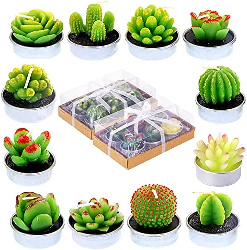 12 Pieces Cactus Tealight Candles Handmade Delicate Succulent Cactus Candles for Party Wedding Spa Home Decoration Gifts