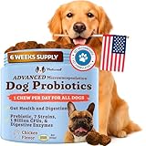 Natural Dog Company Gut Health & Canine Specific Probiotics Chews, 1 Daily Chew for All Dogs, Prebiotics & Digestive Enzymes for Digestion, Gas, Loose Stool, Immune System & Bowel Support