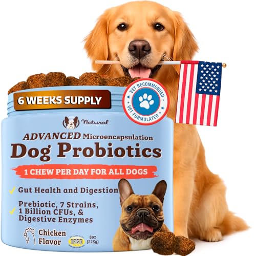 Natural Dog Company Gut Health & Canine Specific Probiotics Chews, 1 Daily Chew for All Dogs, Prebiotics & Digestive Enzymes for Digestion, Gas, Loose Stool, Immune System & Bowel Support