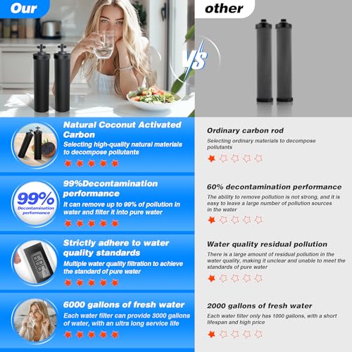 NSF/ANSI 42&372 Certified Water Filter Replacement Compatible with Berkey® BB9-2® Black Filters, Gravity Filter System, Purification Elements Compatible with Travel, Large, Royal, Crown Series, 2 Pack