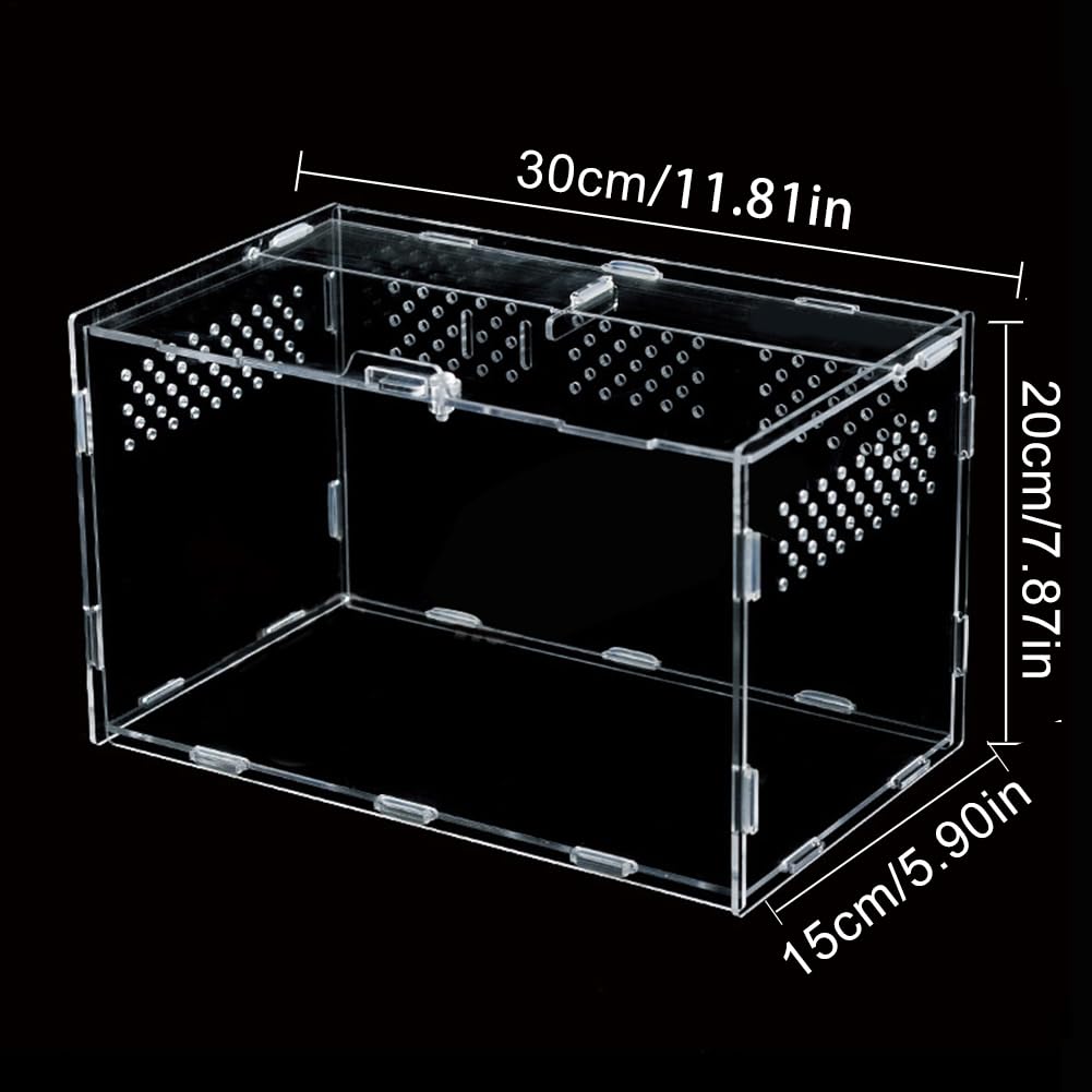 Transparente Acryl Terrarium Reptil Fütterungsbox Reptilienzuchtbox Transportboxen Futterbehälter Box Für Spide Skorpion Käfer Gottesanbeterin Reptilien Lebensraum