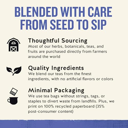 Celestial Seasonings 7075 Herb Tea True Blueberry 20 Bag  thumb #6