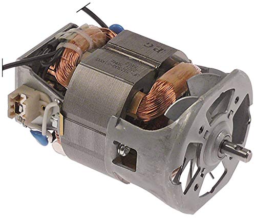 Sammic TR-BM-250 - Motor para batidora TR-250 (anchura 70 mm, 50 Hz, longitud 105 mm, 230 V, eje 6 mm)