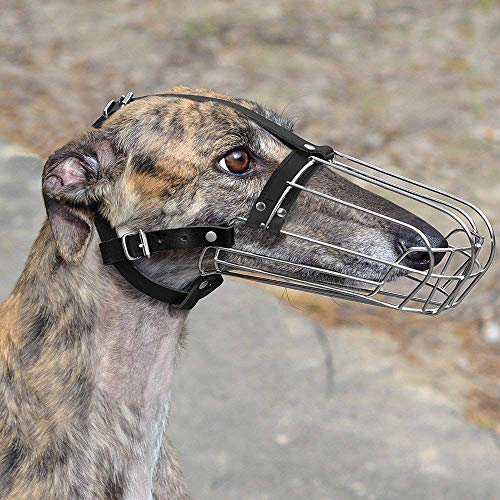 Bronzedog Greyhound Muzzle For Adult Dogs Metal Wire Basket Adjustable Leather Straps #TOP3