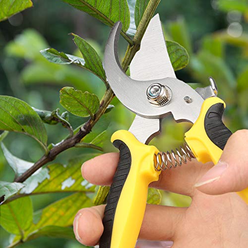 Love&Mini Pruning Shears Garden Clippers Bypass Pruners - 7.5\" Hand Gardening Cutter Clippers for Plants Garden Tools with Spring and Stainless Steel Blade - Thumbnail 4