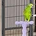 Bothyi Bird Perch Stand Paw Grinding Exercise Climbing Supplies Parrot Stand for Small Birds Finch Lovebirds Canaries, Purple