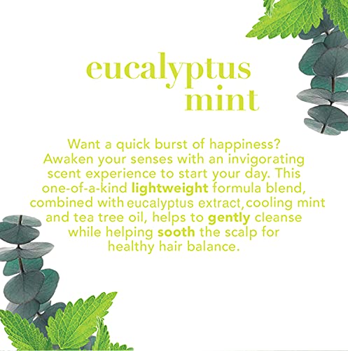 Ogx Intensely Invigorating + Eucalyptus Mint Conditioner, 13 Ounce #TOP2