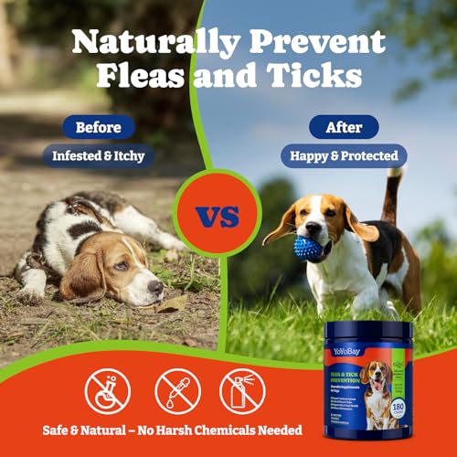 Image of Flea and Tick Prevention for Dogs Chewable - 180 Soft Chews, Salmon & Blueberry Flavor - Dog Flea and Tick Treatment Chewable, Natural Defense- Dog Immune Support Supplement