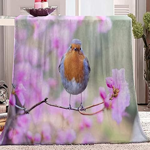 ZJFHNB Fleece Throw Blanket Robin 39.4 x 51inch Soft Warm Comfortable Throws for Sofa Fluffy Blanket Bed Throw for Bedroom Couch Travel Kids Bedroom Accessories Cover