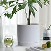 Yukfona Ceramic Plant Saucer Tray 2 Pcs 12 Inch White, 12.5" OD x11.9 ID x1.6 Deep| Fits Flower pots Bottom≤ 11.9", Heavy Duty Glazed Round Planter Drip with Catch Basin for Indoor Outdoor Plants #4