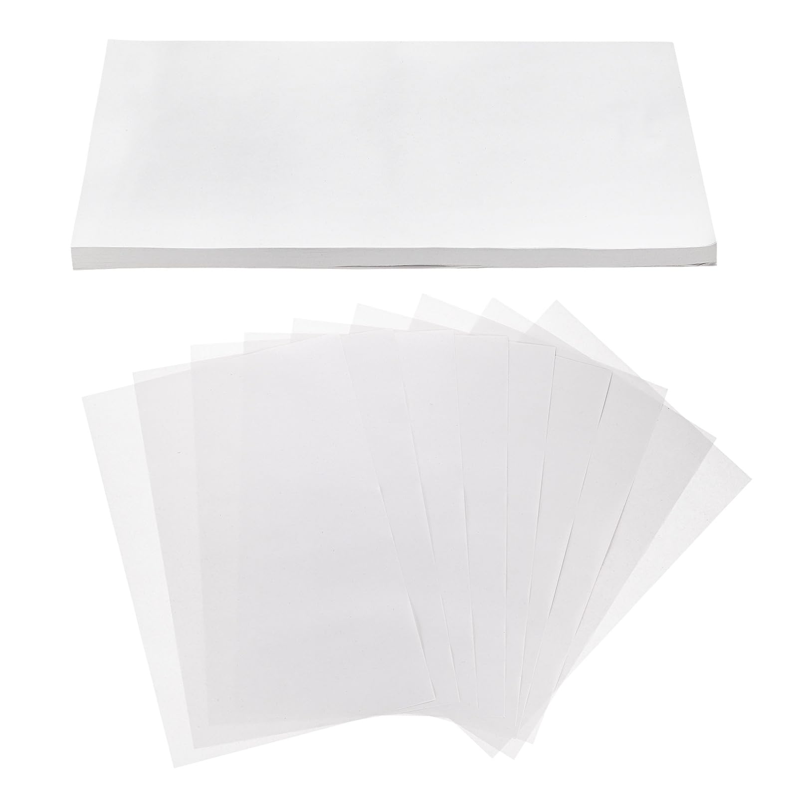 Papier de germination de graines hydratant M METERXITY pour réussir vos cultures de micro verts