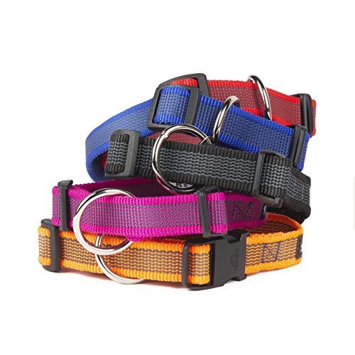 JULIUS K-9 220CG Color & Gray Halsband, 20mm*27-42 cm, verstellbar, schwar-grau, 20 mm (27-42 cm)